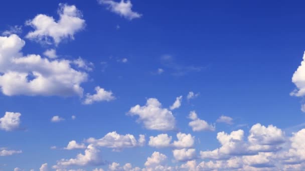 Céu Azul Nuvens Brancas Nuvens Brancas Macias Inchadas Cumulus Nuvem — Vídeo de Stock