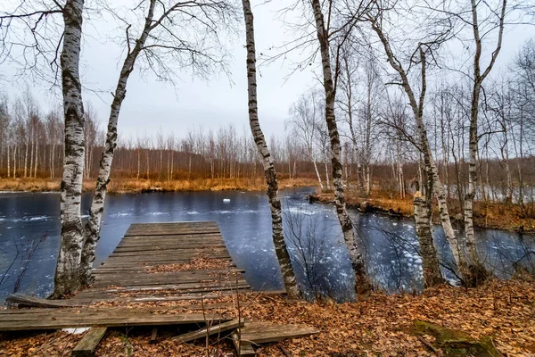 Zugefrorener See Einem Herbsttag — Stockfoto