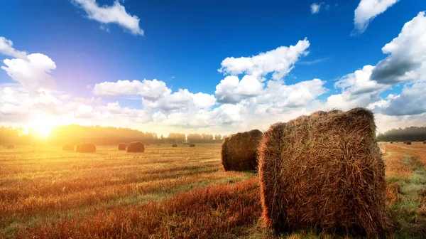 Halmbalar Jordbruksmark Hösten Soluppgång — Stockfoto