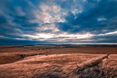 Kuru çimenler dramatik bir sonbahar gökyüzüne karşı