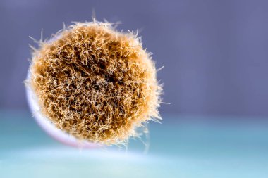 Boya fırçasının kılları. Yakından..