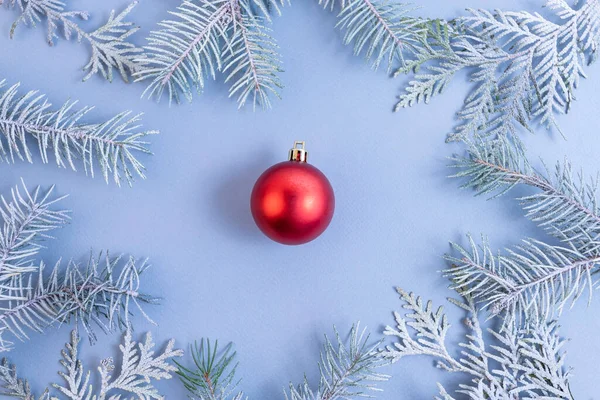 Thuja Větve Červeným Vánoční Míč Modrém Pozadí Horní Pohled Místo — Stock fotografie