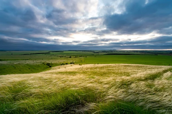 Droge Gras Tegen Een Dramatische Herfst Lucht — Stockfoto