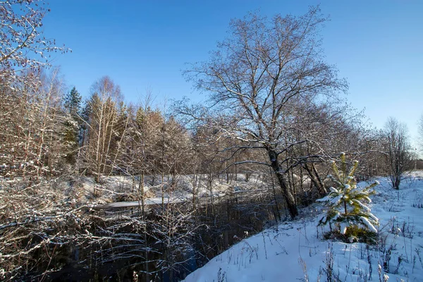 Landschaft Mit Winterwald Und Fluss Sonnenaufgang Sonnenuntergang Schönen Verschneiten Wald — Stockfoto