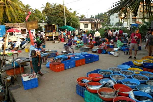 Fish Market India — Stock Photo, Image