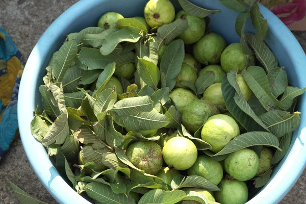 Guava Meyve Tepelik Yeşil Elma Için Benzer — Stok fotoğraf