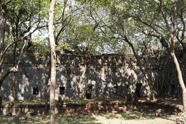 Murallas Piedra Del Viejo Fuerte Cubierto Raíces Árboles — Foto de Stock