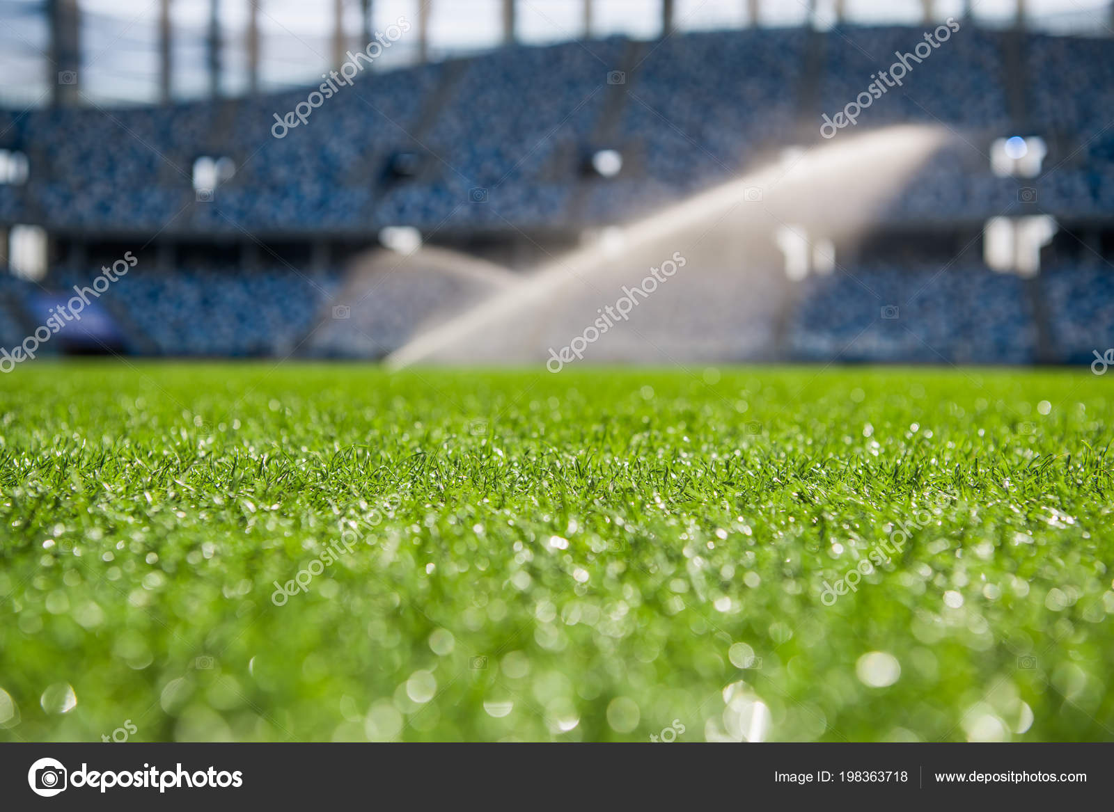 Семена травы для стадионов. Зеленая трава стадион. Растения для стадиона. Зеленое поле футбол. Футбол на мокрой траве.
