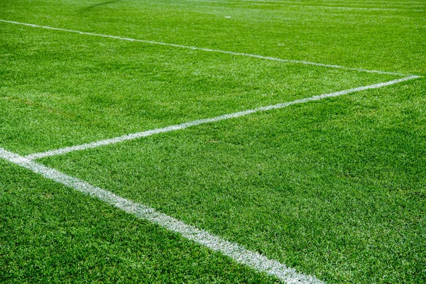 White lines on green grass of a soccer field. Selective focus — Stock Photo, Image