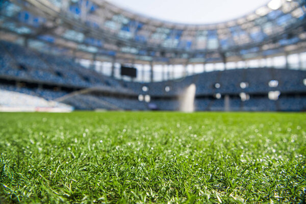 Grass on stadium in sunlight. Closeup of a green football field. Wet stadium grass in the morning light during watering irrigation. Close up macro of soccer or football field. green grass field