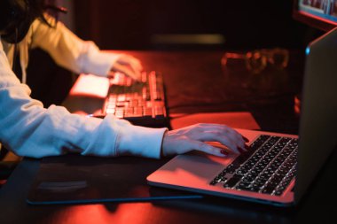 Evde office el klavye üzerinde çalışan kadın kapatın. Kişisel bilgisayar ve dizüstü bilgisayar kullanarak
