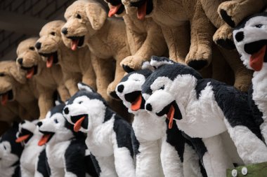 Hediyelik eşya dükkanı Satılık çocuklar dükkandan husky köpek sevimli yumuşak oyuncaklar