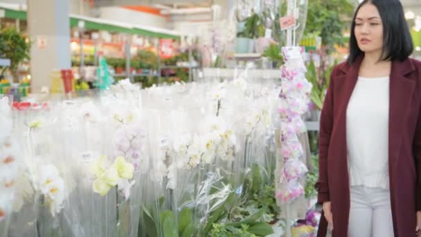 Женщина в садовом магазине с помощью смартфона с приложением магазина дополненной реальности — стоковое видео