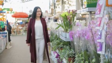 Sunlit Garden Shop 'tan çiçek alan kadın. 4 bin. Çiçekli sera pazarında dekoratif bitkiler için alışveriş yapan genç bir kadın. Ev ve Bahçe kavramı.