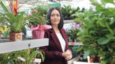 Genç beyaz bir kadın çiçek tencerelerde seçer. Kreş ev çiçekler. Ağır çekim