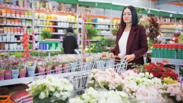 Mujer joven con carrito de compras comprando flores en una tienda de jardín — Vídeos de Stock