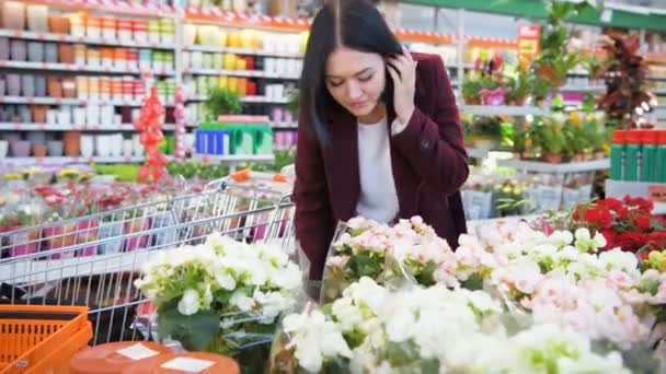 Hermosa morena joven mujer oliendo flores en la tienda de jardín supermercado lugar femenino jardinero manos suavemente tocar primavera flor centro comercial tienda verde casa tienda florecer plantas — Vídeos de Stock