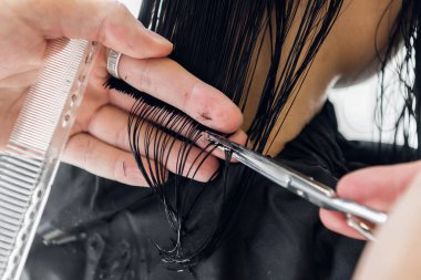 Kuaför güzel kadın portre için bir saç modeli oluşturma.