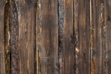 ahşap kahverengi çam ağacı arka plan dokusu