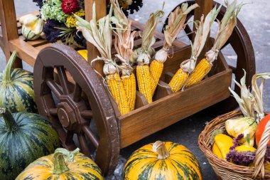 Saman, kabak ve Mısır arabası üzerinde yığını. Hasat Festivali dekorasyon
