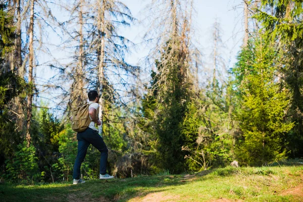 Mann wandert mit Rucksack im Wald — Stockfoto