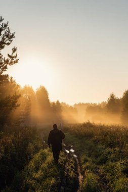 Eski avcı orman yolunda yürüyor. Tüfek Avcısı Silhouetted in Beautiful Sunset or Sunrise. Ormanda av tüfeği
