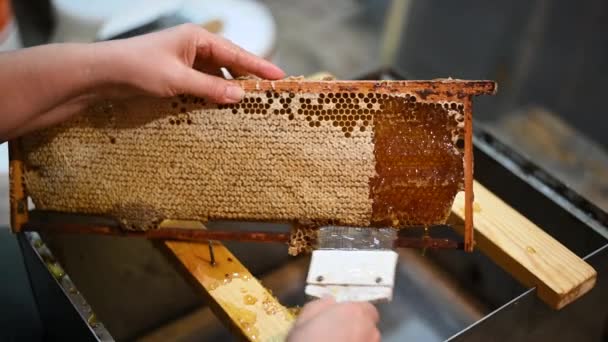 Uncovering the honeycombs with the scraper by hand, honey harvest. — Stock Video