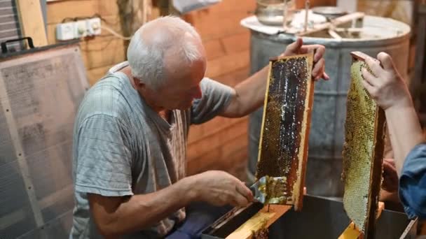 Filmación de un apicultor destapando celdas de miel en los marcos con un peine destapado. — Vídeos de Stock