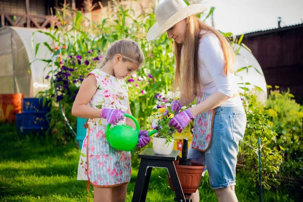 小さな娘を持つ若い女性が鉢に植物を植えている. — ストック写真