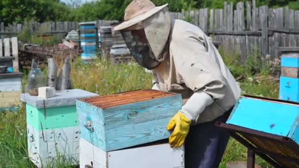 Bijenhouder in beschermingspak inspecteert zijn rij bijenkorven in de bijenstal met bijen om zich heen. — Stockvideo