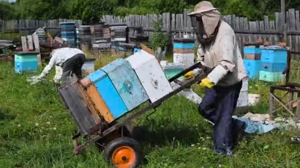 Bijenhouders verplaatsen handkar met bijenkorven van bijenstal naar extractiezaal. Voorbereiding van de honingextractie. — Stockvideo