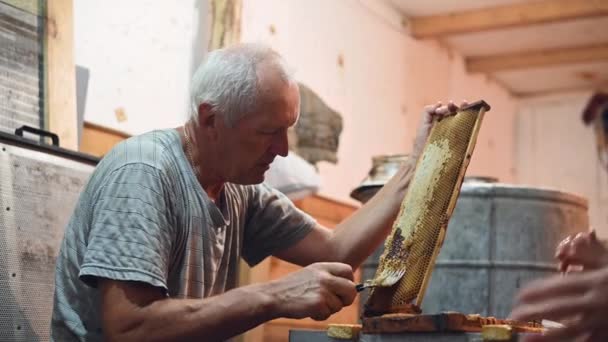 Ein älterer Imker arbeitet mit Gestellen für Honig. Handarbeit im Bienenhaus. — Stockvideo