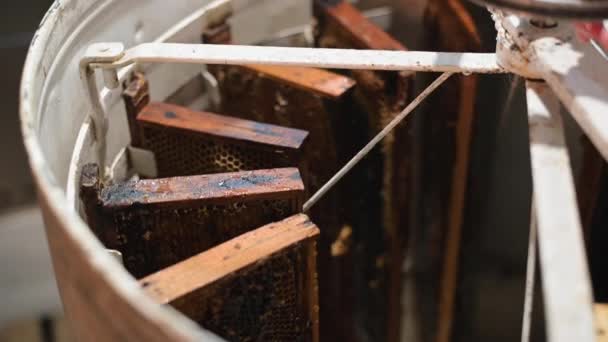 Apicultor girando quadros não tampados no recipiente de metal centrífugo, o processo de extração de mel. — Vídeo de Stock