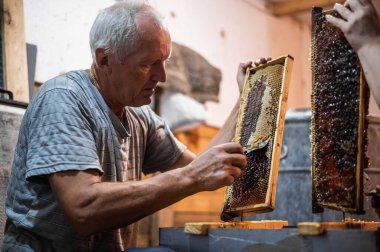 Arıcı balmumu çıkarmak ve çıkarmak için bir kazıyıcı ile bal peteğini açar.