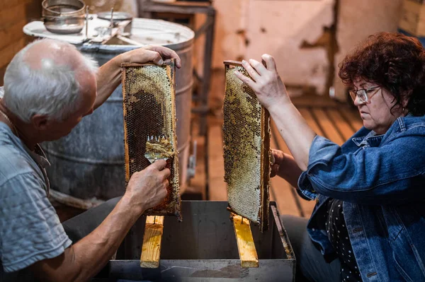 Main à l'aide d'un grattoir pour obstruer les rayons de miel avec du miel dans un cadre. Apiculteur Unseal nid d'abeille. — Photo