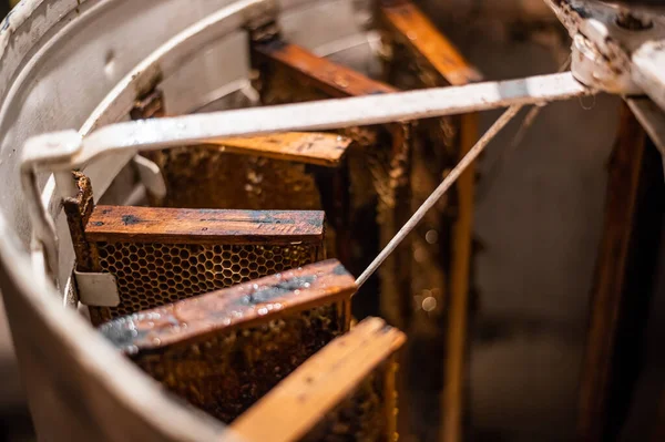 Beekeeper spinning uncapped frames in the centrifuge-like metal container, the process of honey extraction. — Stock Photo, Image