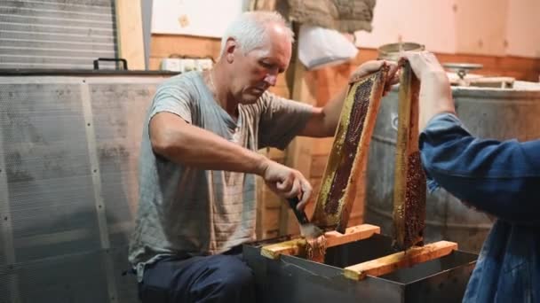 Uncovering the honeycombs with the scraper by hand, honey harvest. — Stock Video