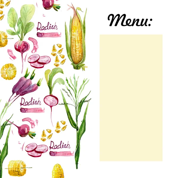 Pannocchie Mais Ravanelli Copertura Del Menu Dipinta Acquerello Illustrazione Acquerello — Foto Stock