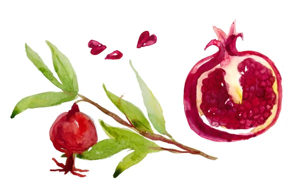 Melograno Dipinto Acquerello Illustrazione Acquerello Disegnata Mano Frutta — Foto Stock