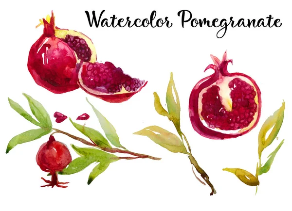 Pomegranate Painted Watercolor Hand Drawn Watercolor Illustration Fruit — Stock Photo, Image