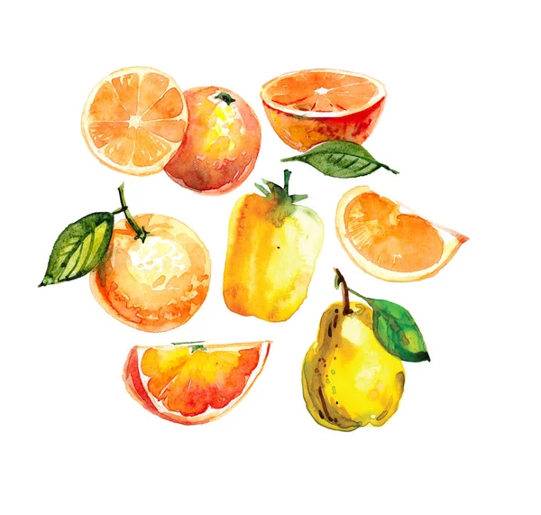 Aquarel Illustratie Met Gele Groenten Fruit Oranje Een Snee Perzik — Stockfoto