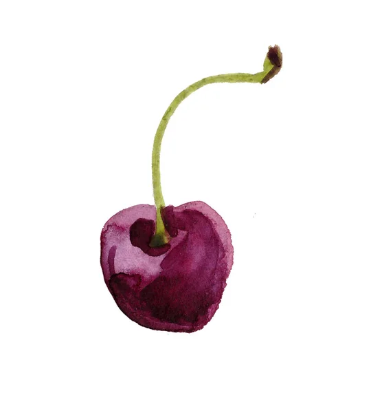 Cherry Malowane Akwareli Ręcznie Rysowane Akwarela Ilustracji Owoców Wiśnia Cięciu — Zdjęcie stockowe