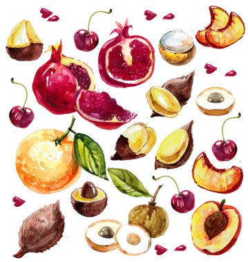 çizilmiş suluboya ile meyve ayarla ver. armut, şeftali dilimleri, longan, longan bölüm, Mısır buğday, portakal, şeftali, kiraz, salacca, pommegranate içinde