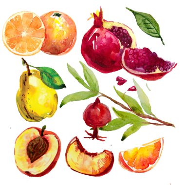 çizilmiş suluboya ile meyve ayarla ver. armut, şeftali dilimleri, longan, longan bölüm, Mısır buğday, portakal, şeftali, kiraz, salacca, pommegranate içinde