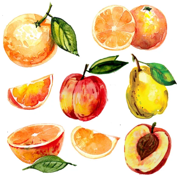 Aquarelle Dessinée Main Avec Des Fruits Poire Tranches Pêche Longan — Photo