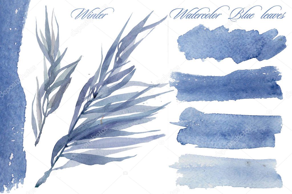 Blue watercolor leaves. Set of herbs and leaves painted in watercolor on white paper. Sketch of flowers and herbs. Wreath, garland of flowers. 
