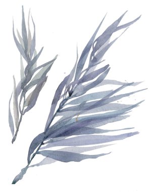 Mavi suluboya bırakır. Otlar ve yaprakları beyaz kağıt üzerine suluboya boyalı. Çiçekler ve bitkiler kroki. Çelenk, çiçek çelenk. 