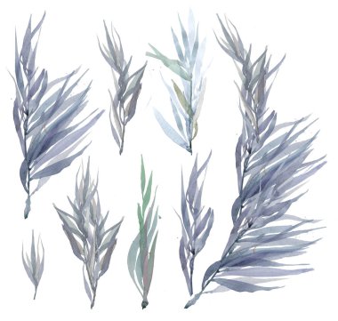 Mavi suluboya bırakır. Otlar ve yaprakları beyaz kağıt üzerine suluboya boyalı. Çiçekler ve bitkiler kroki. Çelenk, çiçek çelenk. 