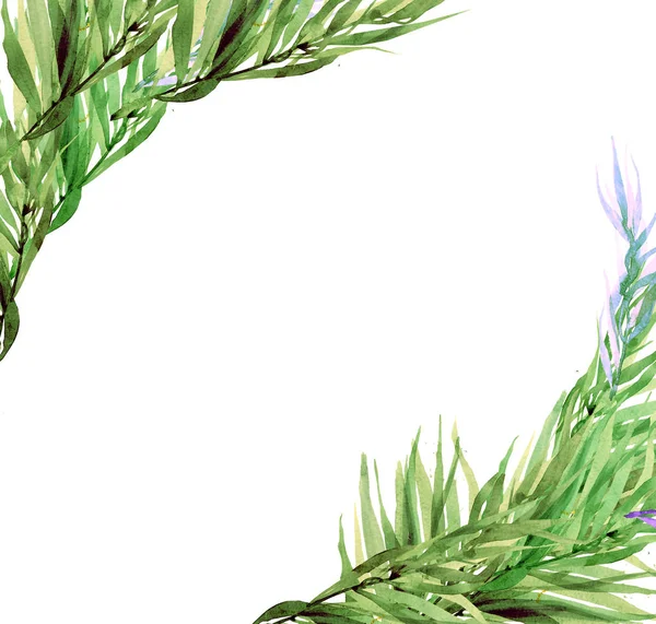 종이에 수채화로 그려진 허브와 잎이있는 수채화 허브의 스케치 결혼식 초대장 — 스톡 사진