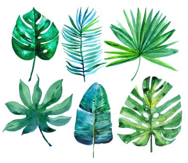 el boyaması yeşil tropikal yaprakları, suluboya tropikal, düğün kartı, satış alay. monstera, muz yaprağı, palmiye yaprağı